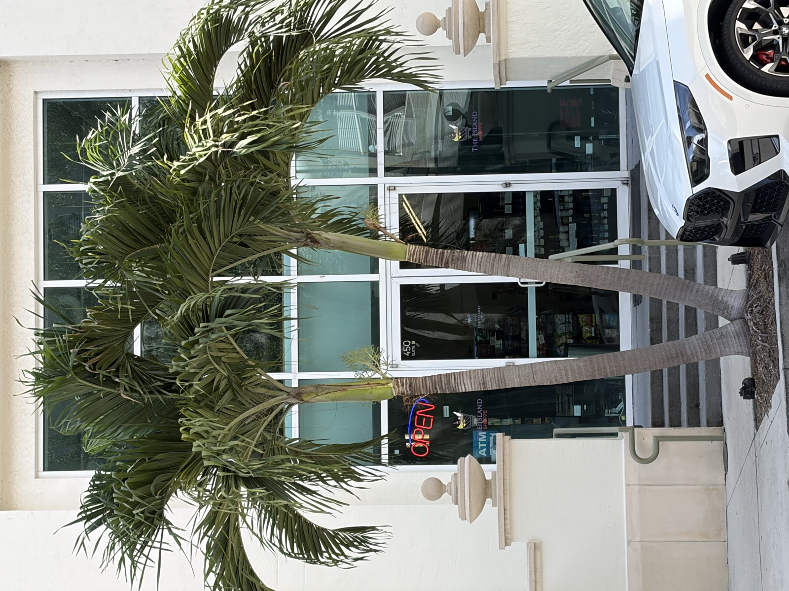 The Island Shoppe storefront exterior with palm trees